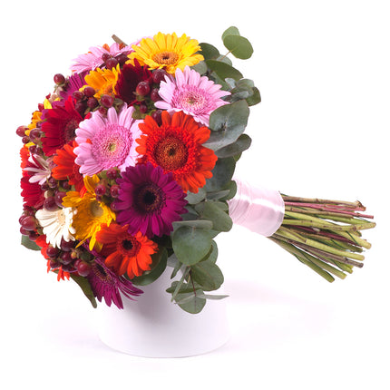 03001385_perla-bunte-mini-gerbera