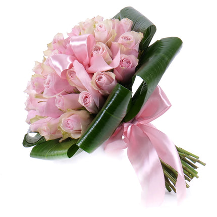 03001412_perla-rosa-rosen