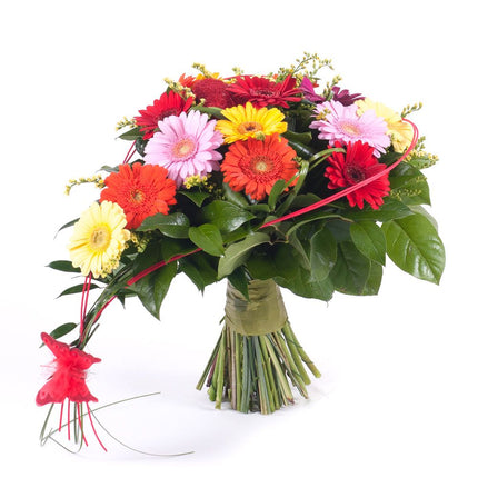 03001480_herz-aus-bunten-mini-gerbera