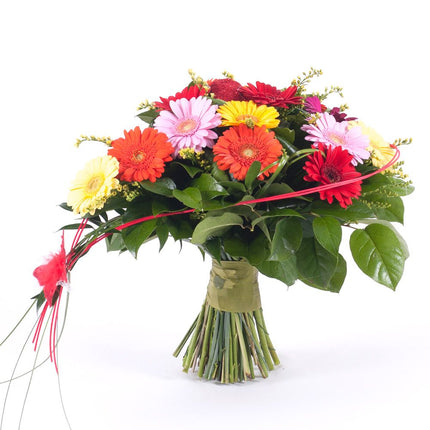 03001480_herz-aus-bunten-mini-gerbera