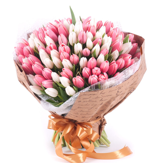 03001502_sweet-weisse-und-rosa-tulpen