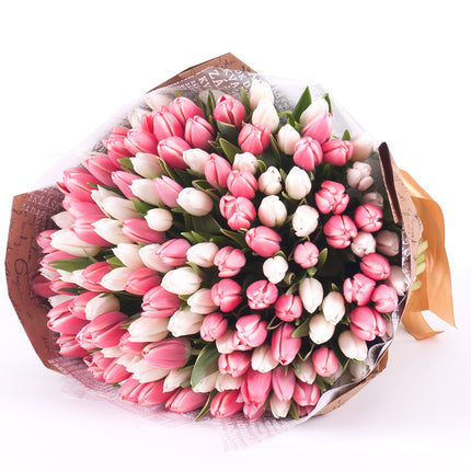 03001502_sweet-weisse-und-rosa-tulpen