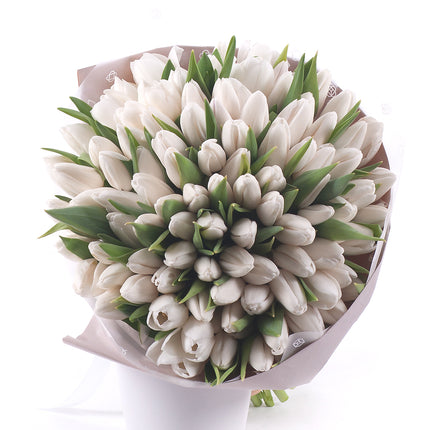 03001511_sweet-weisse-tulpen-1
