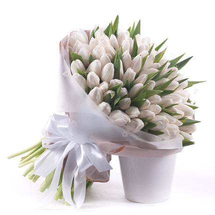 03001511_sweet-weisse-tulpen-1