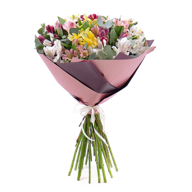 03001560_sweet-bunte-alstroemerien