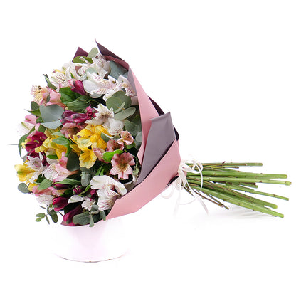 03001560_sweet-bunte-alstroemerien