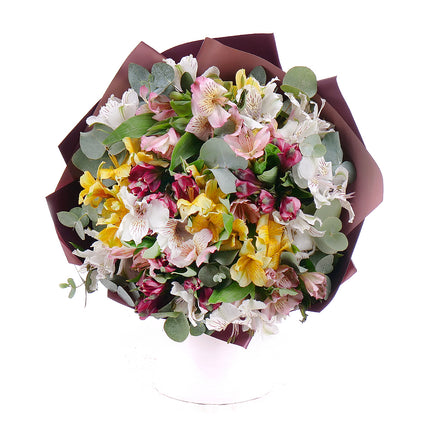 03001560_sweet-bunte-alstroemerien