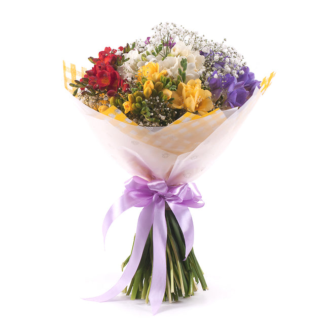 03001561_sweet-bunte-freesien