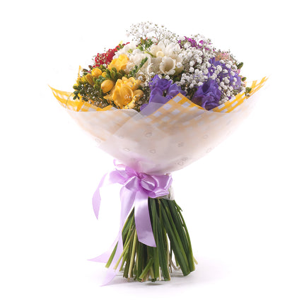 03001561_sweet-bunte-freesien