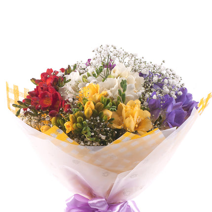 03001561_sweet-bunte-freesien