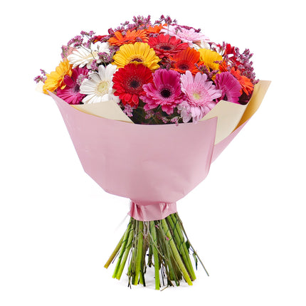 03001562_sweet-bunte-gerbera