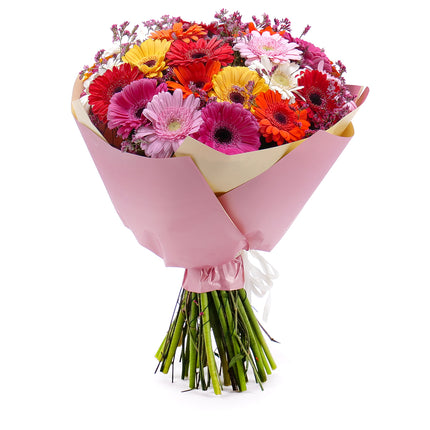03001562_sweet-bunte-gerbera