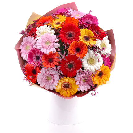 03001562_sweet-bunte-gerbera