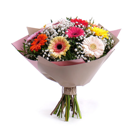 03001564_sweet-bunte-gerbera-mit-schleierkraut