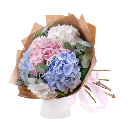 03001565_sweet-farbige-hortensien
