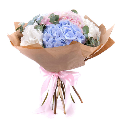 03001565_sweet-farbige-hortensien