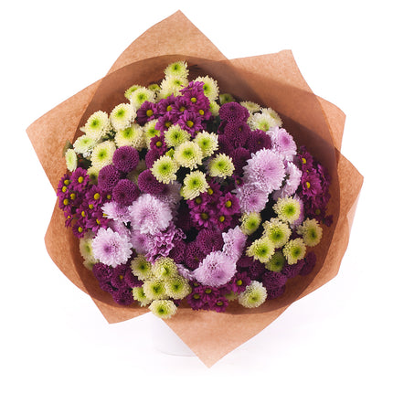 03001570_sweet-bunte-santini-chrysanthemen
