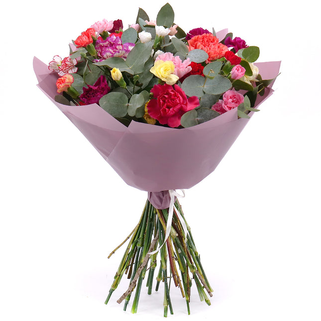 03001571_sweet-bunte-nelken