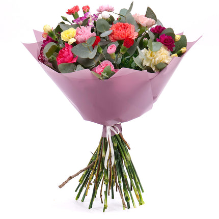 03001571_sweet-bunte-nelken