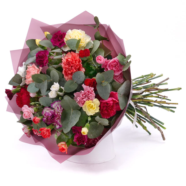 03001571_sweet-bunte-nelken