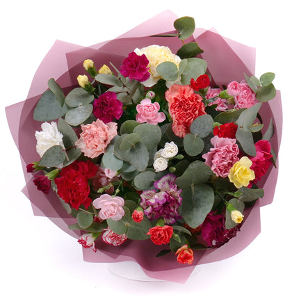 03001571_sweet-bunte-nelken