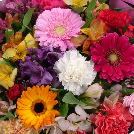 03001573_sweet-bunte-blumen