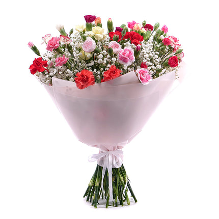 03001581_sweet-bunte-mini-nelken