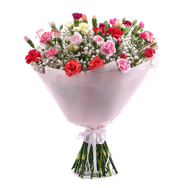 03001581_sweet-bunte-mini-nelken