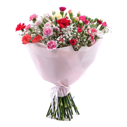 03001581_sweet-bunte-mini-nelken