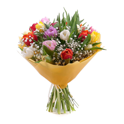 03001597_sweet-bunte-tulpen-und-schleierkraut