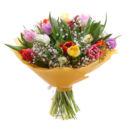 03001597_sweet-bunte-tulpen-und-schleierkraut