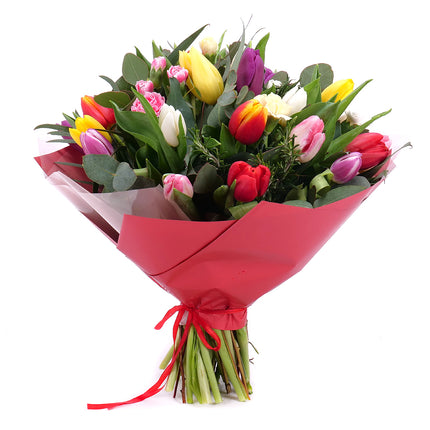 03001599_sweet-bunte-tulpen-und-mini-nelken