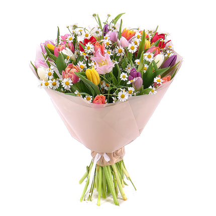 03001608_sweet-bunte-tulpen-mit-kamille