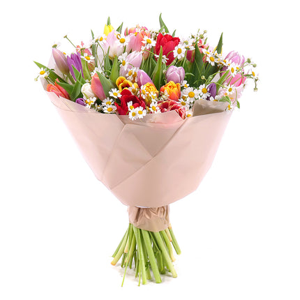 03001608_sweet-bunte-tulpen-mit-kamille