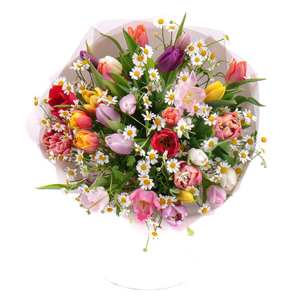 03001608_sweet-bunte-tulpen-mit-kamille