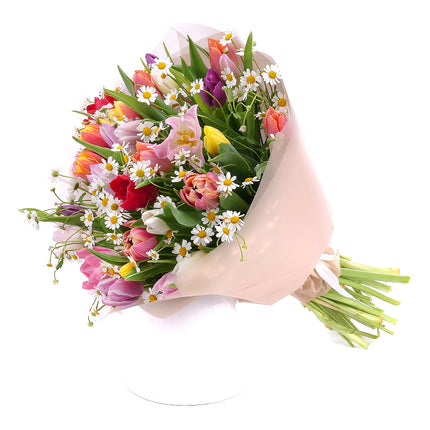 03001608_sweet-bunte-tulpen-mit-kamille