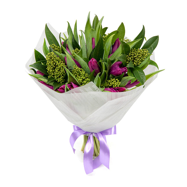 03001611_sweet-violette-tulpen-mit-skimmie