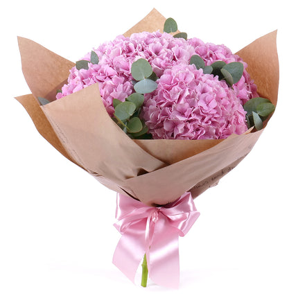 03001642_sweet-rosa-hortensien