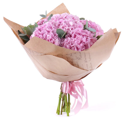 03001642_sweet-rosa-hortensien