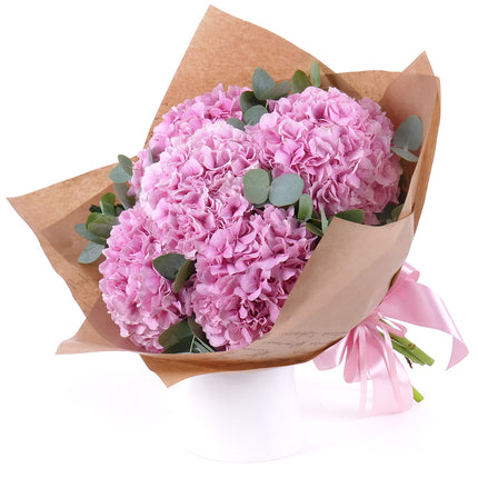 03001642_sweet-rosa-hortensien