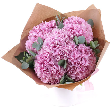 03001642_sweet-rosa-hortensien