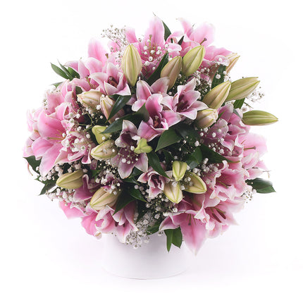 03001646_sweet-rosa-lilien