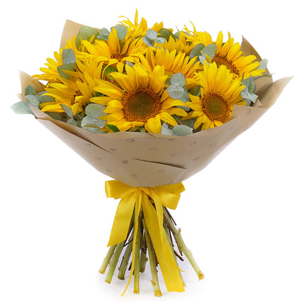 03001675_sweet-sonnenblumen