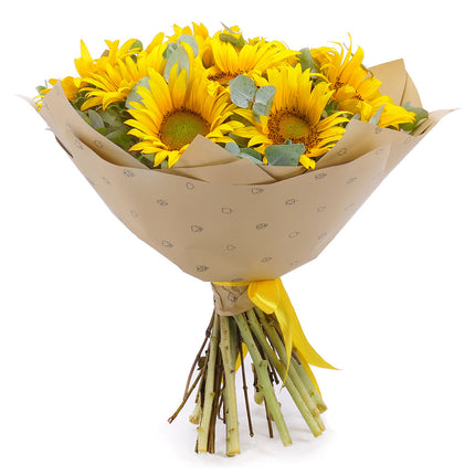 03001675_sweet-sonnenblumen