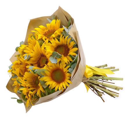 03001675_sweet-sonnenblumen