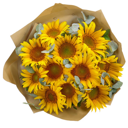 03001675_sweet-sonnenblumen
