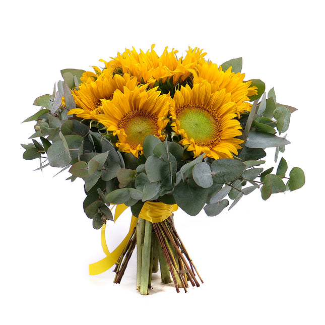 03001678_sweet-sonnenblumen-und-eukalyptus