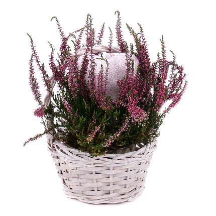 03001760_heide-im-weidenkorb-mit-dekoration