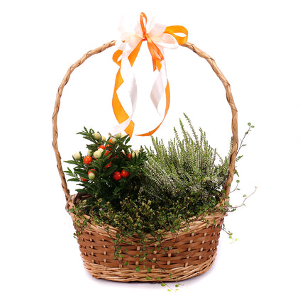 03001821_naturarrangement-im-weidenkorb-5