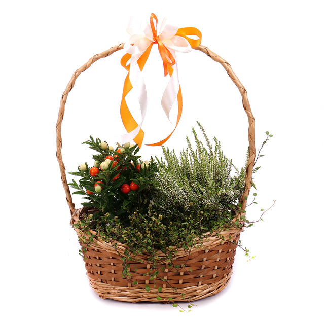 03001821_naturarrangement-im-weidenkorb-5